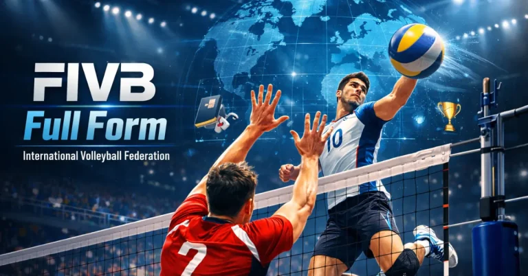 fivb full form
